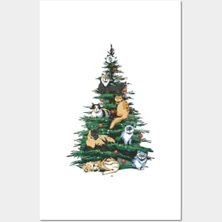 Cats in Christmas Tree Posters and Art